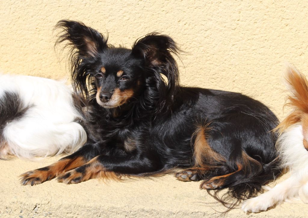 Oxana chermaya krasota Divine Manoune