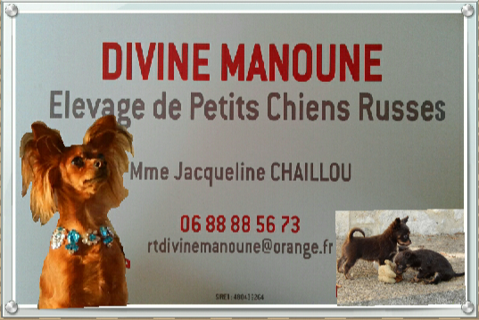 Divine Manoune